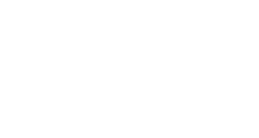Wordpress logo